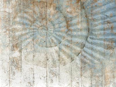 STAMPA DIG. NATURALIA   / TNT MATT DESIGN SEA BLUE AL MQ