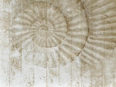 STAMPA DIG. NATURALIA   / TNT MATT DESIGN SEA BEIGE AL MQ