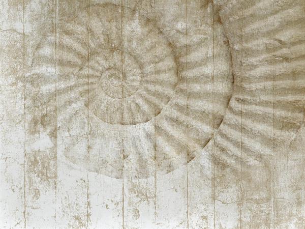 STAMPA DIG. NATURALIA   / TNT MATT DESIGN SEA BEIGE AL MQ