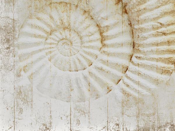 STAMPA DIG. NATURALIA   / TNT MATT DESIGN SEA VINTAGE AL MQ