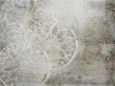 STAMPA DIG. NATURALIA   / TNT MATT DESIGN GREY AL MQ