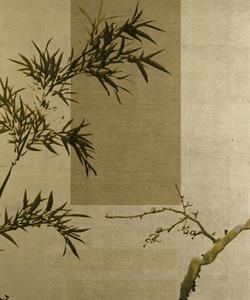 STAMPA DIG. NATURALIA   / TNT MATT FOLIAGE MIELE MIS. AL MQ