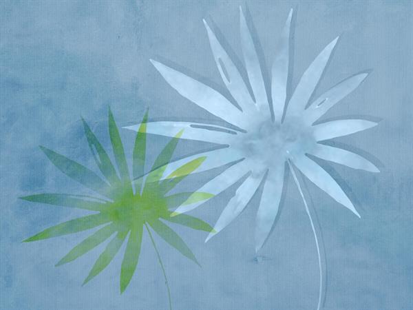 STAMPA DIG. NATURALIA   / TNT MATT FOLIAGE OMBRE MIS. AL MQ