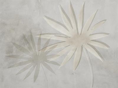 STAMPA DIG. NATURALIA   / TNT MATT FOLIAGE OMBRE MIS. AL MQ