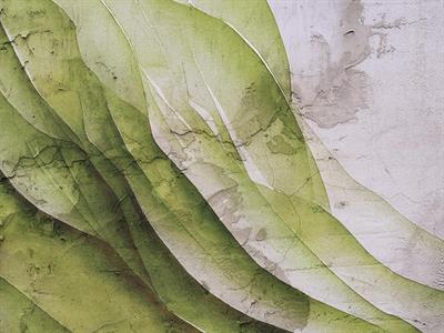 STAMPA DIG. NATURALIA   / TNT MATT DESIGN GREEN MIS. AL MQ