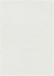 PARATO SYNCHRONICITY PVC/TNT UNITO ICE 0,53X10,05MT