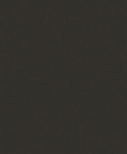 PARATO OFF THE WALL TNT /UNITO BLACK MIS.0,53X10,05MT
