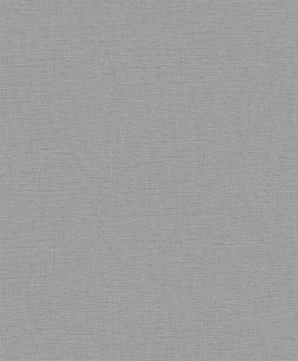 PARATO OFF THE WALL TNT /UNITO SILVER GREY MIS.0,53X10,05MT