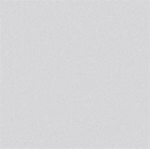 PARATO PAINTABLE IN TNT /VERNICIABILE MIS.0,53X10,05MT