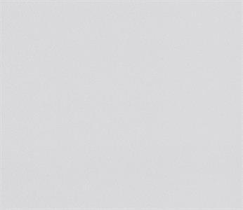 PARATO PAINTABLE IN TNT /VERNICIABILE MIS.0,75X25MT