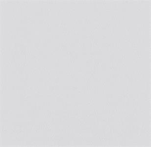 PARATO PAINTABLE IN TNT /VERNICIABILE MIS.0,53X10,05MT