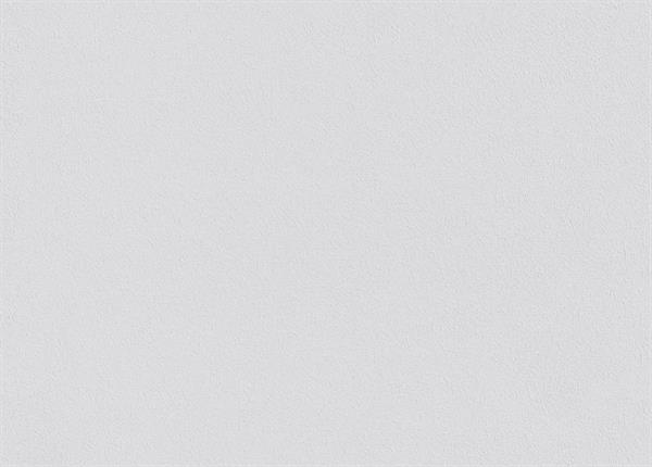 PARATO PAINTABLE IN TNT /VERNICIABILE MIS.0,75X25MT
