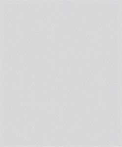 PARATO PAINTABLE IN TNT /VERNICIABILE MIS.0,53X10,05MT