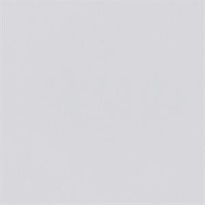 PARATO PAINTABLE IN TNT /VERNICIABILE MIS.1X25 MT