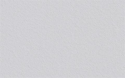 PARATO PAINTABLE IN TNT /VERNICIABILE MIS.0,53X15MT