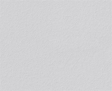 PARATO PAINTABLE IN TNT /VERNICIABILE MIS.0,53X15MT