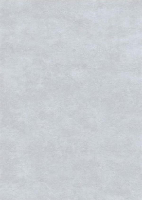 PANNELLO IN SPC ULTRA MATT CONCRETE MOTE H.120X265 CM(CF.2 PZ)
