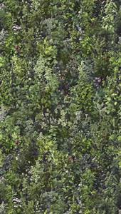 PARATO UNICO 2026 PVC/TNT/JUNGLE GREEN 1,59X2,80H.CM (3 TELI)