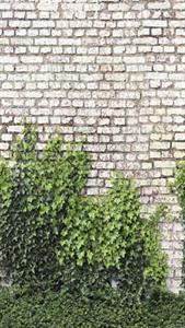PARATO UNICO 2026 PVC/TNT/WALL FOLIAGE 1,59X2,80H.CM (3 TELI)