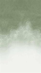 PARATO UNICO 2026 PVC/TNT/MATERIC GREEN 1,59X2,80H.CM (3 TELI)