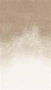 PARATO UNICO 2026 PVC/TNT/MATERIC TAUPE 1,59X2,80H.CM (3 TELI)