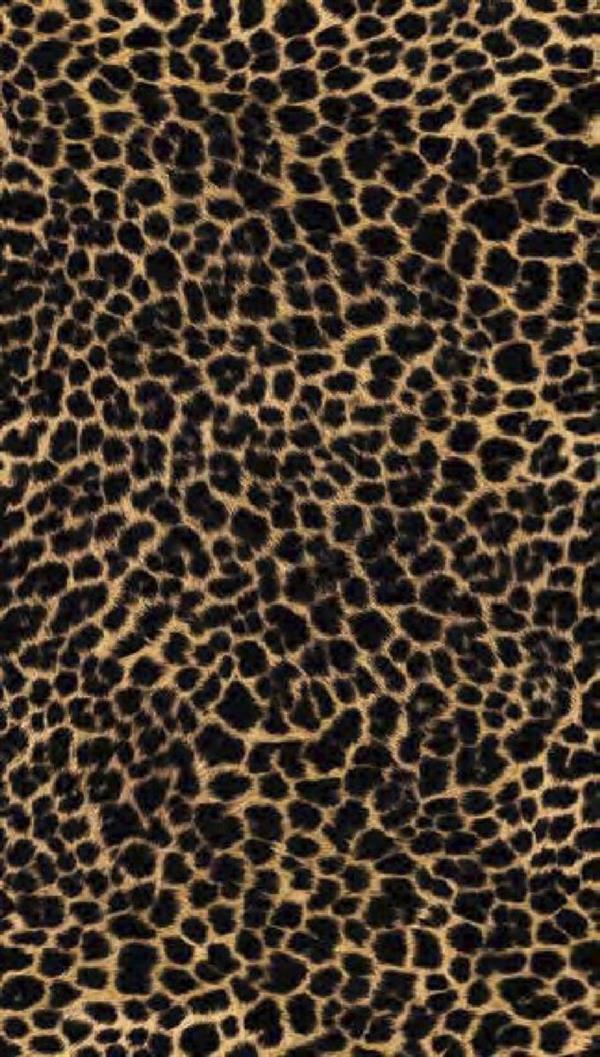 PARATO UNICO 2026 PVC/TNT/LEOPARD 1,59X2,80H.CM (3 TELI)