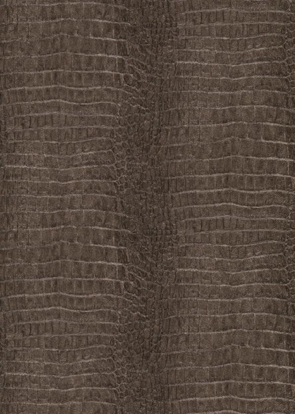 PARATO OPULENCE PVC/TNT /DESIGN BROWN 0,53X10,05MT