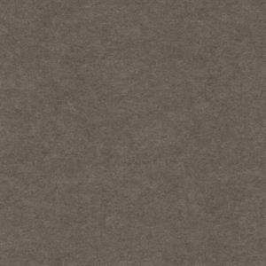 PARATO LINE&LEAF IN TNT/UNITO DARK GREY 0,53X10,05 MT