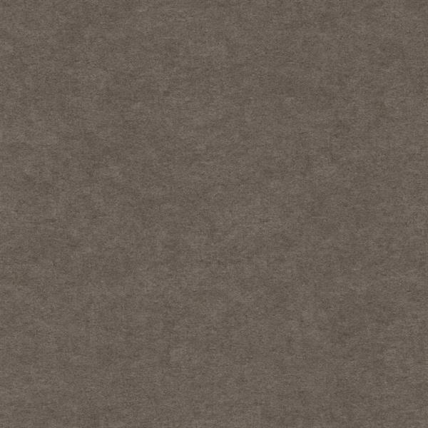 PARATO LINE&LEAF IN TNT/UNITO DARK GREY 0,53X10,05 MT