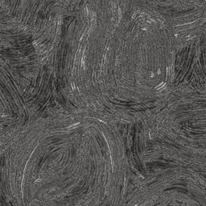 PARATO LINE&LEAF IN TNT/DESIGN FOSSIL BLACK 0,53X10,05MT