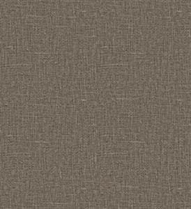 PARATO ARAZZO IN TNT    /UNITO BROWN MIS. 0,53X10,05 mt