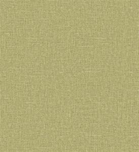 PARATO ARAZZO IN TNT    /UNITO GREEN MIS. 0,53X10,05 mt
