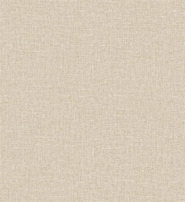 PARATO ARAZZO IN TNT    /UNITO BEIGE MIS. 0,53X10,05 mt