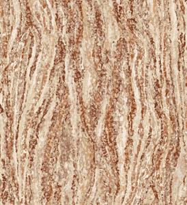 PARATO MAREA IN TNT     MATERICO CORAL 0,53X10,05MT