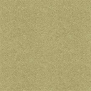 PARATO MAREA IN TNT     UNITO LIME 0,53X10,05MT