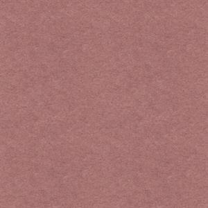 PARATO MAREA IN TNT     UNITO VINE 0,53X10,05MT