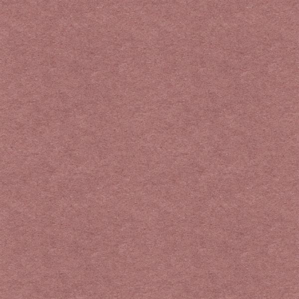 PARATO MAREA IN TNT     UNITO VINE 0,53X10,05MT
