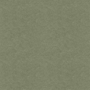 PARATO MAREA IN TNT     UNITO GREEN 0,53X10,05MT