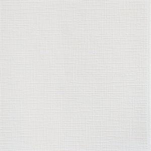 PARATO MEISTERVILES PVC /TNT VERNICIABILE 1,06X25MT