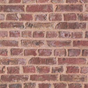 PARATO REALITY4 CARTA   DUPLEX MATER.BROWN  10,05X0,53MT