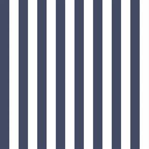 SIMPLY STRIPES 3 PARATO RIGHE BLU E BIANCO 10x0,53 mt