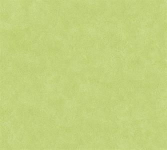 MY LIFE VINILICO SU TNT MATERICO VERDE-36206-7-GR.B 10x0,53 mt