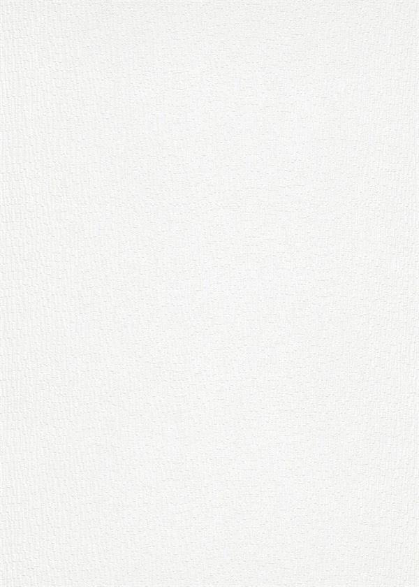 ROLLOVER C.PARATO TNT   VERNICIABILE 25X1,06MT