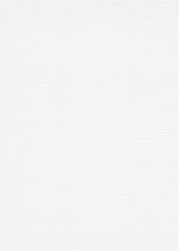 ROLLOVER C.PARATO TNT   VERNICIABILE 25X1,06MT