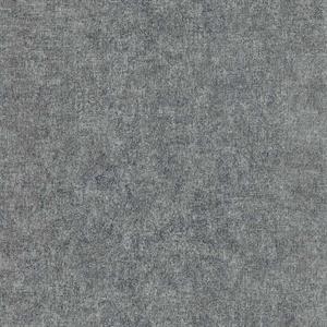COULEURS&MATIERES 2 PARATO SU TNT MAT. METALL. SILVER 10x0,53mt