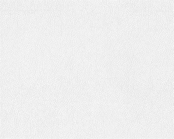 GOPRO2020 PARATO VERNICIAB.SU TNT PELLE-9293-10-25X1,06 mt GR.A