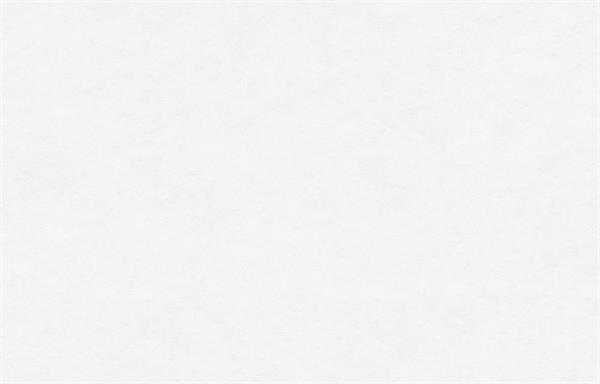 GOPRO2020 PARATO VERNICIAB.SU TNT UNITO-95329-1- GR.E 25X1 mt