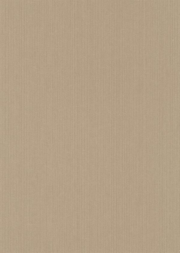 FASHION PARATO TNT      GEOM. SILVER/ORO 10X1,06 MT