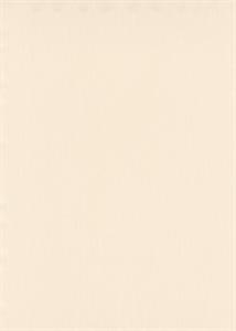 FASHION PARATO TNT      TINTA UNITA GRIGIO 10X1,06 MT