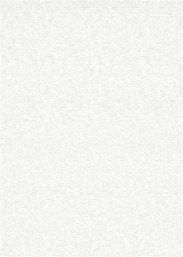 ROLLOVER C.PARATO TNT   VERNICIABILE 25X1,06MT